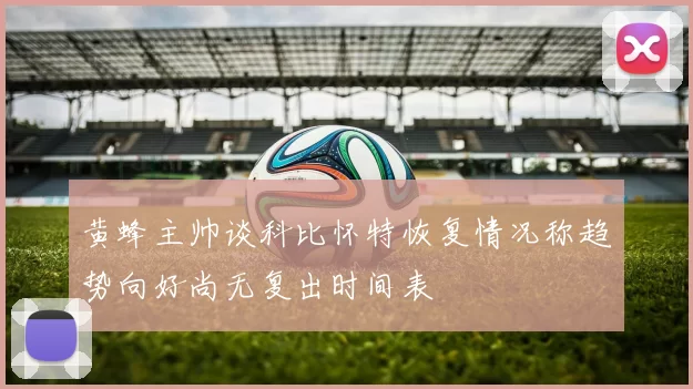 黄蜂主帅谈科比怀特恢复情况称趋势向好尚无复出时间表