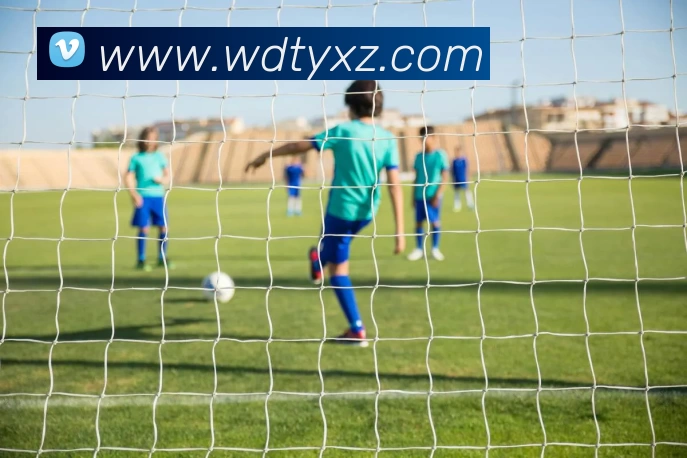 韦德体育下载发展历程